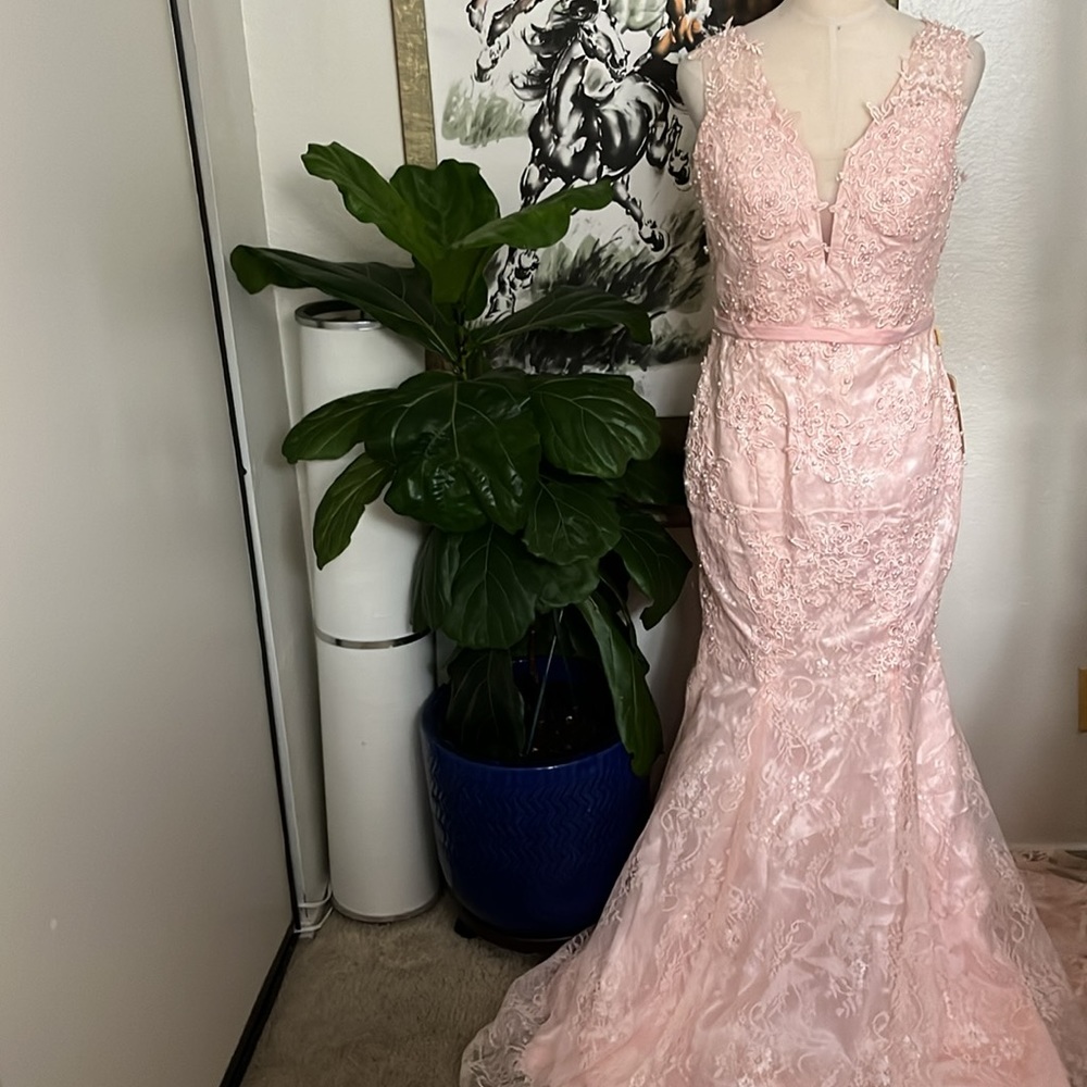 Peach colored dress - Picture 3 of 13